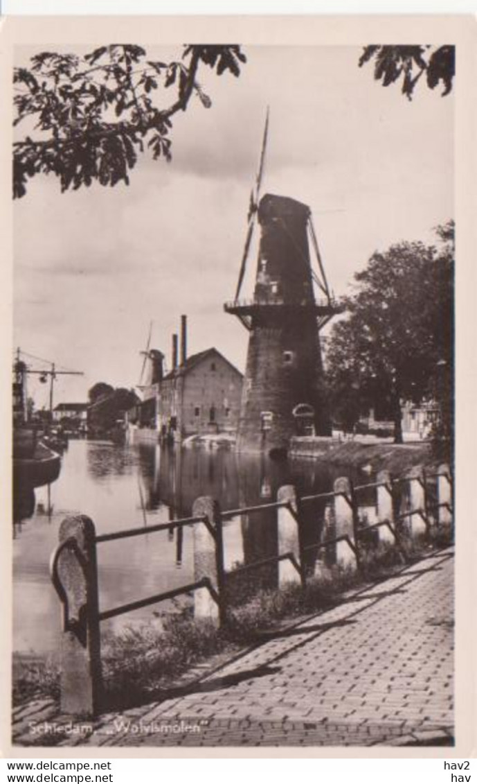 Schiedam Walvis Molen  RY11132 - Schiedam