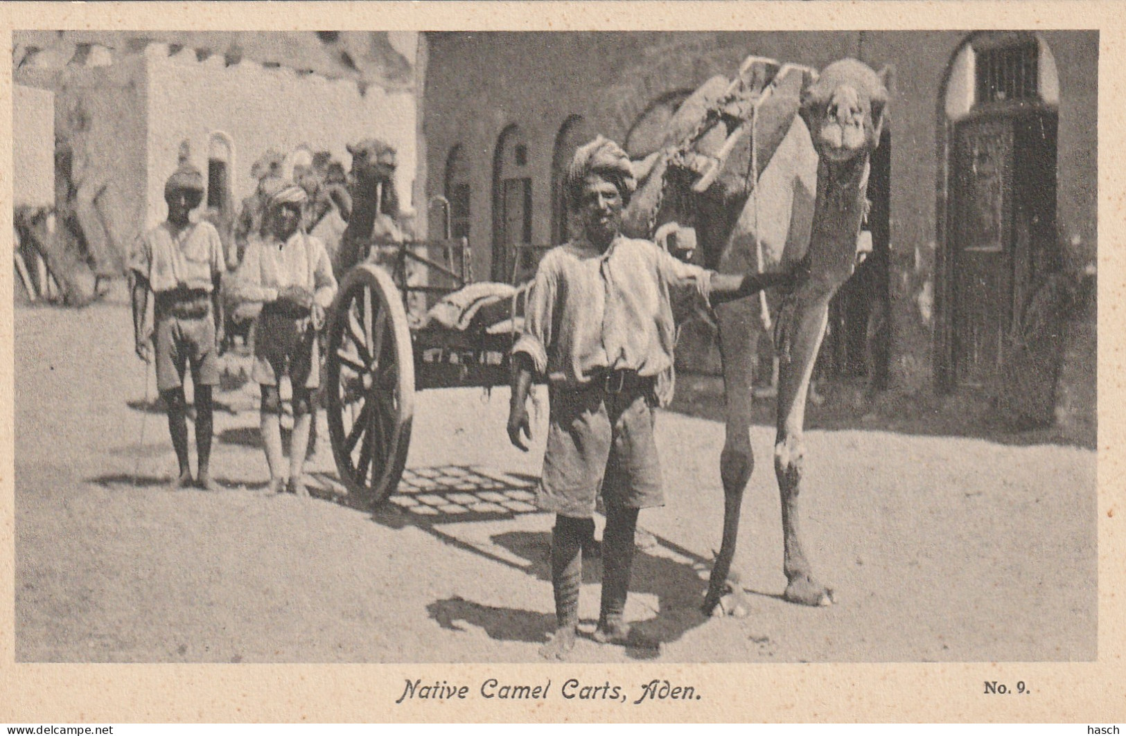 4911 217 Aden, Native Camel Carts.   - Yémen