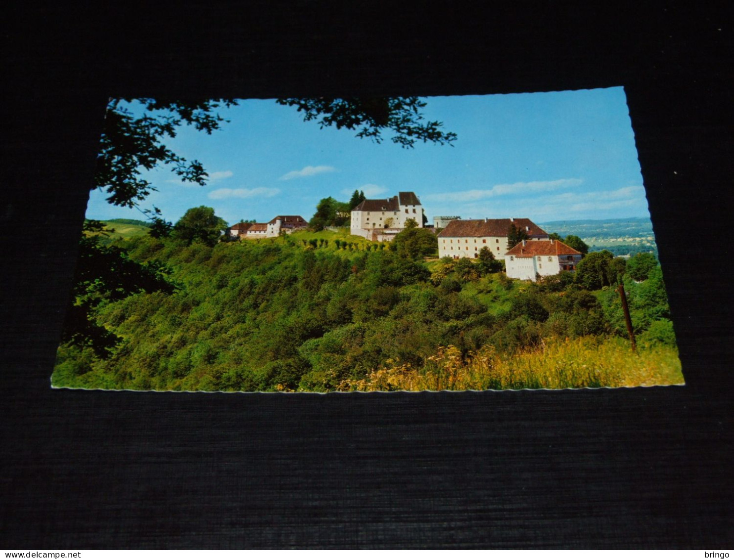 62895-             STEIERMARK, SCHLOSS SEGGAU BEI LEIBNITZ - Leibnitz