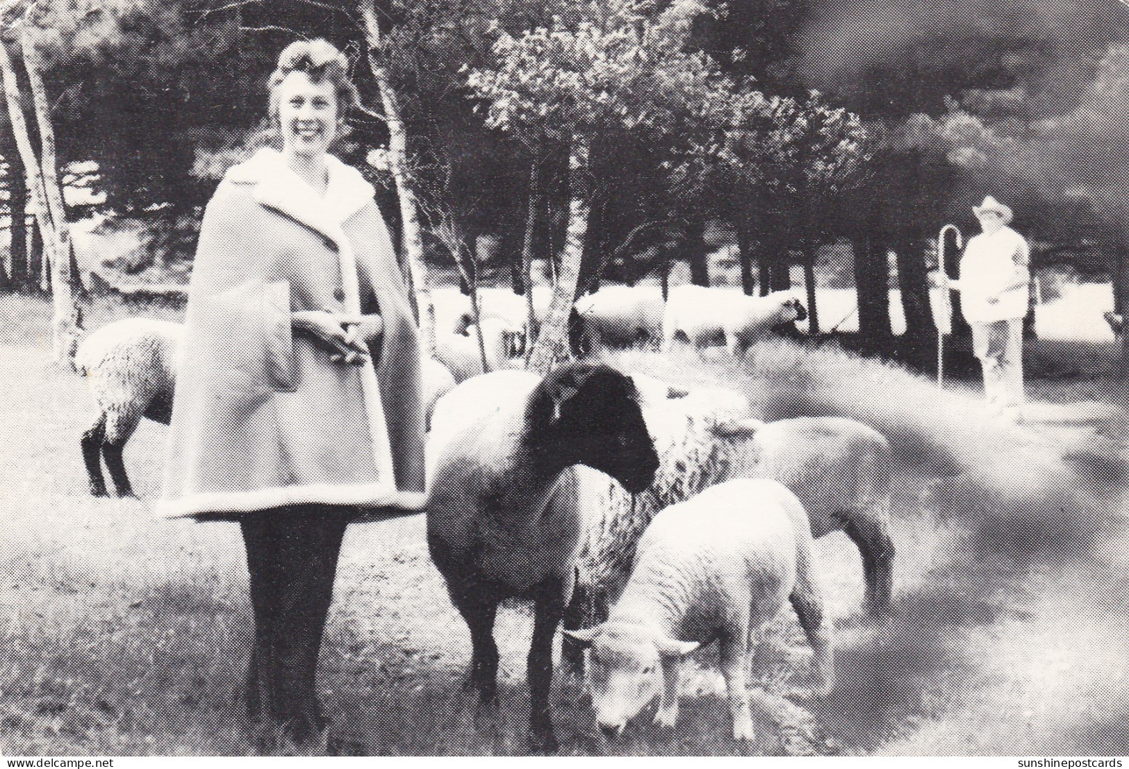 Canada Nova Scotia Middleton Ewe-Wear Sheepskin Products - Other & Unclassified