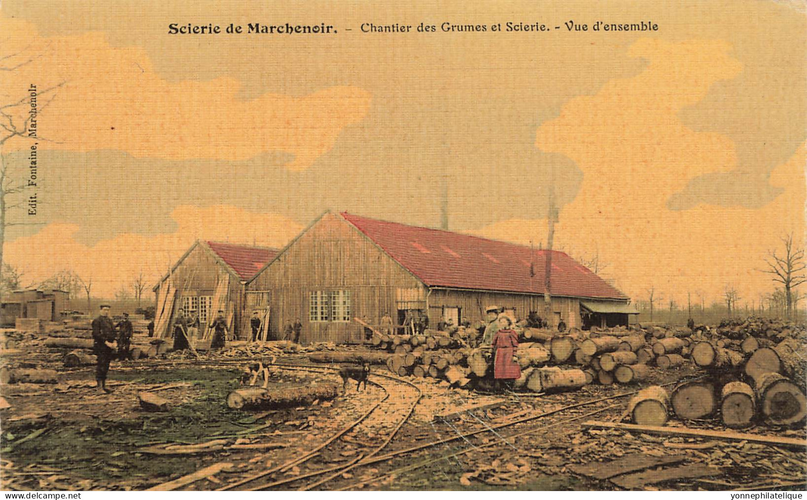 41 - LOIR ET CHER - MARCHENOIR - Scierie, Bois - Chantier Des Grumes, Vue D'ensemble - Toilée, Colorisée - Superbe 10637 - Marchenoir
