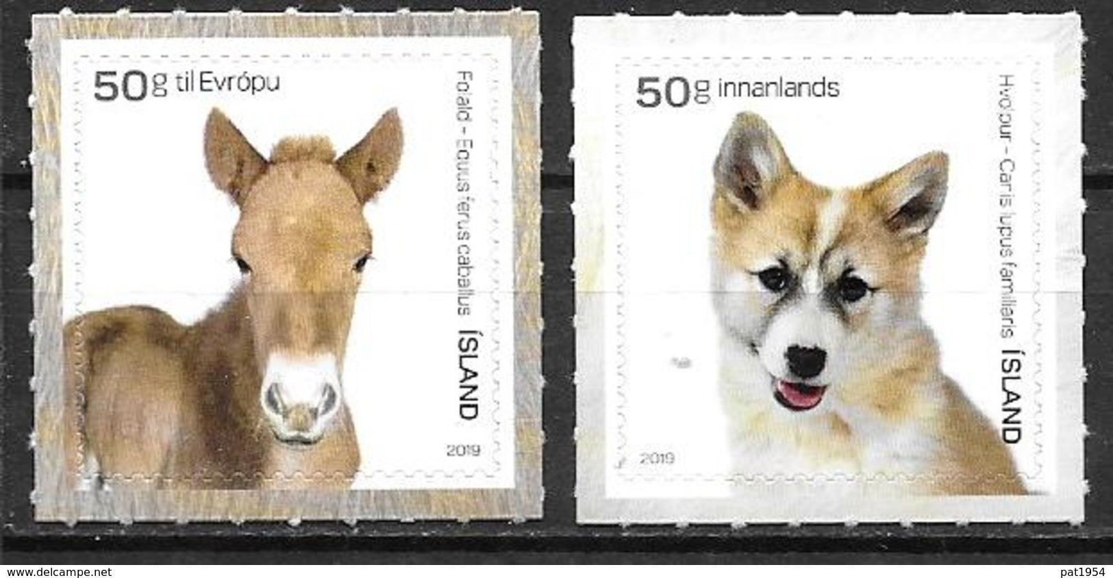 Islande 2019 Série Neuve Animaux Domestiques, Chiens Et Poulain - Unused Stamps