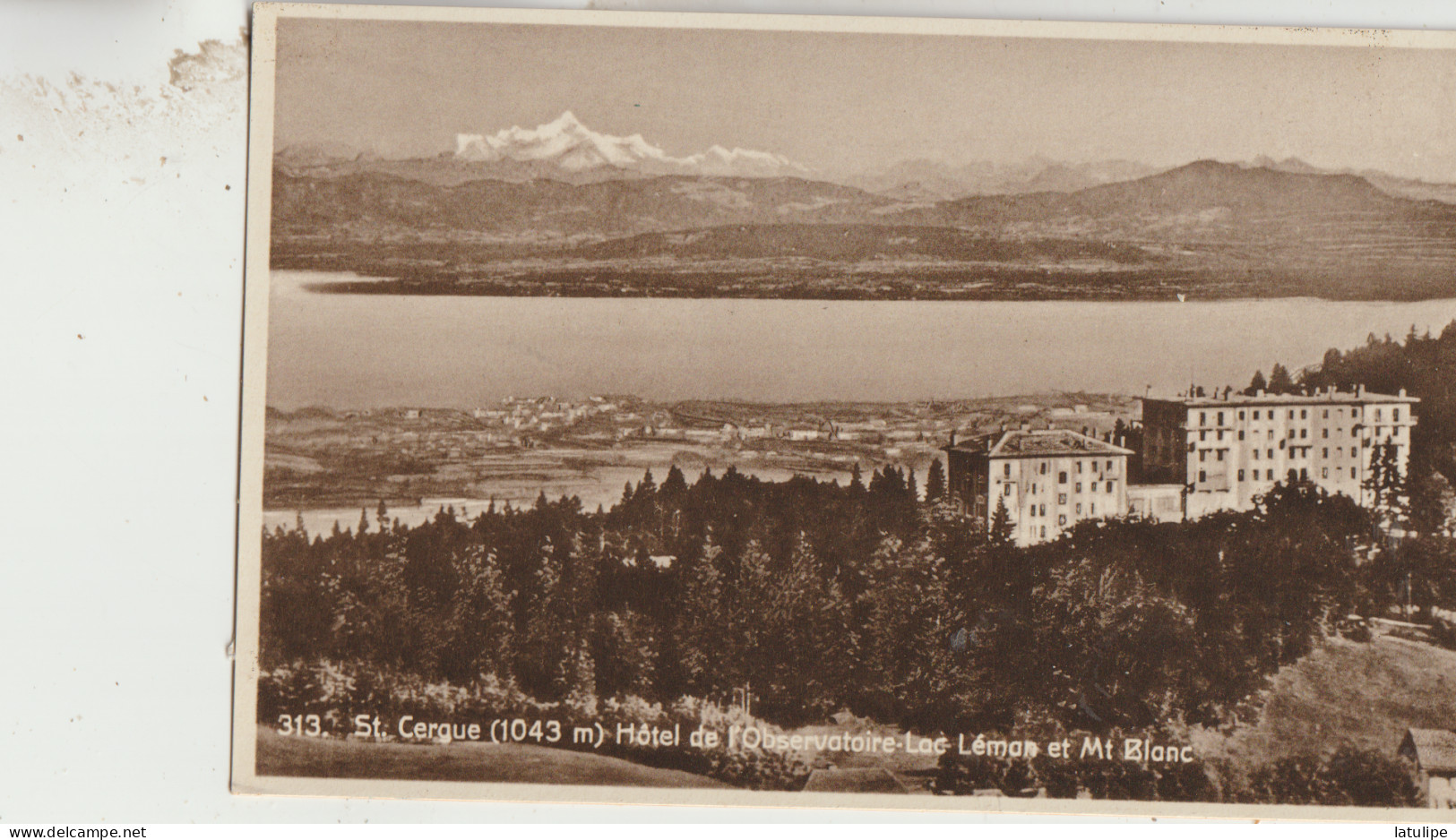 Saint-Cergue 74  1043m  Carte Glacée  Hotel De L'Observatoire _Lac Leman Et Mont-Blanc Vue Generale - Saint-Cergues