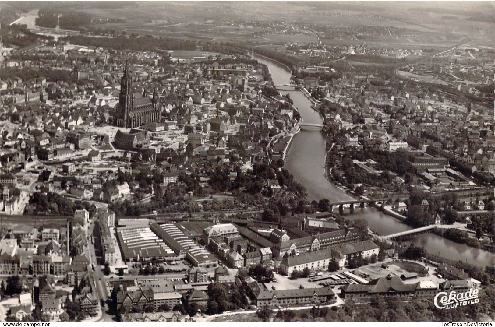 ALLEMAGNE - ULM - Donau - Carte Postale Ancienne - Ulm