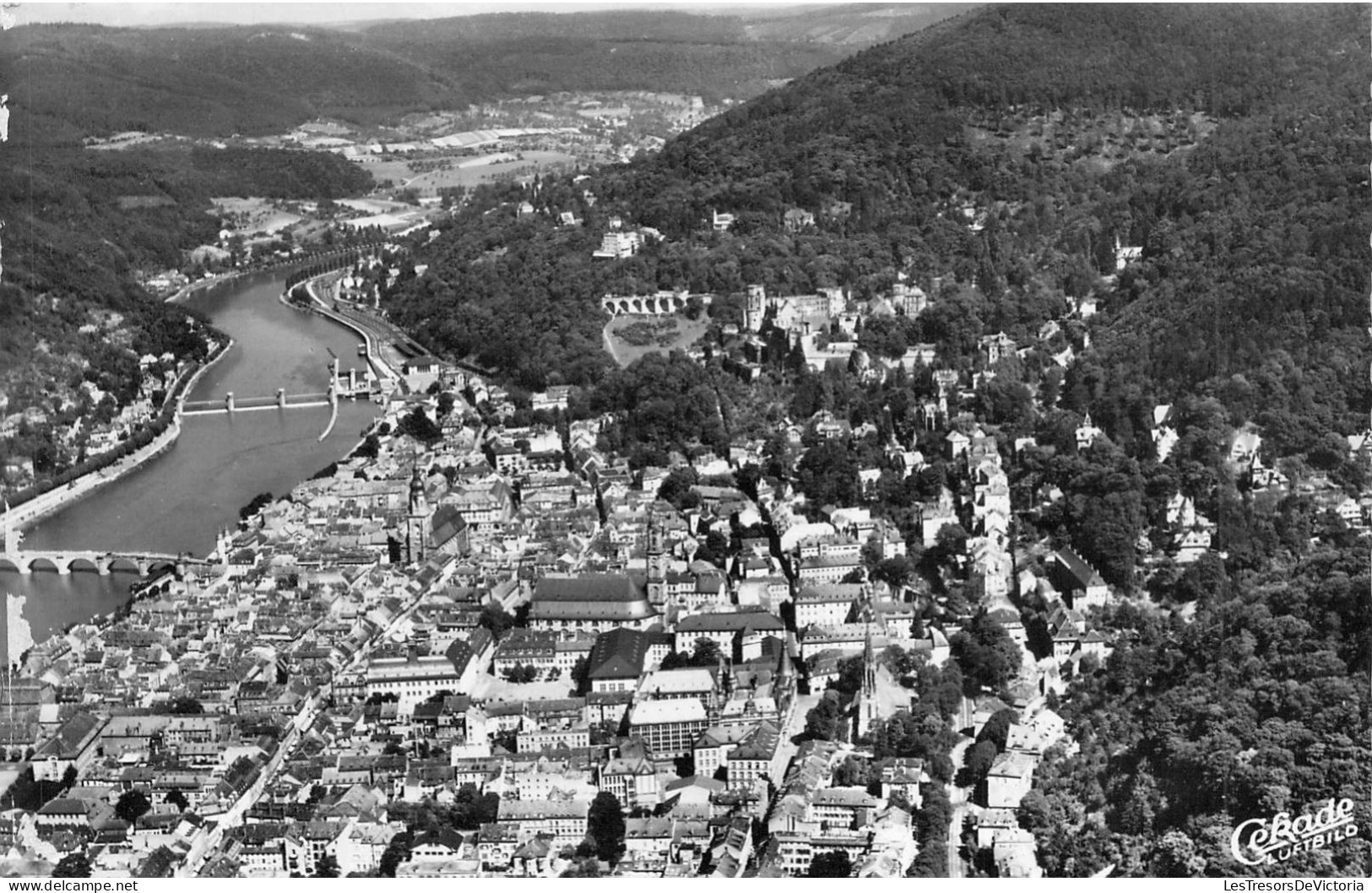 ALLEMAGNE - HEIDELBERG - Heidelberg Am Neckar Mit Schlo - Carte Postale Ancienne - Heidelberg