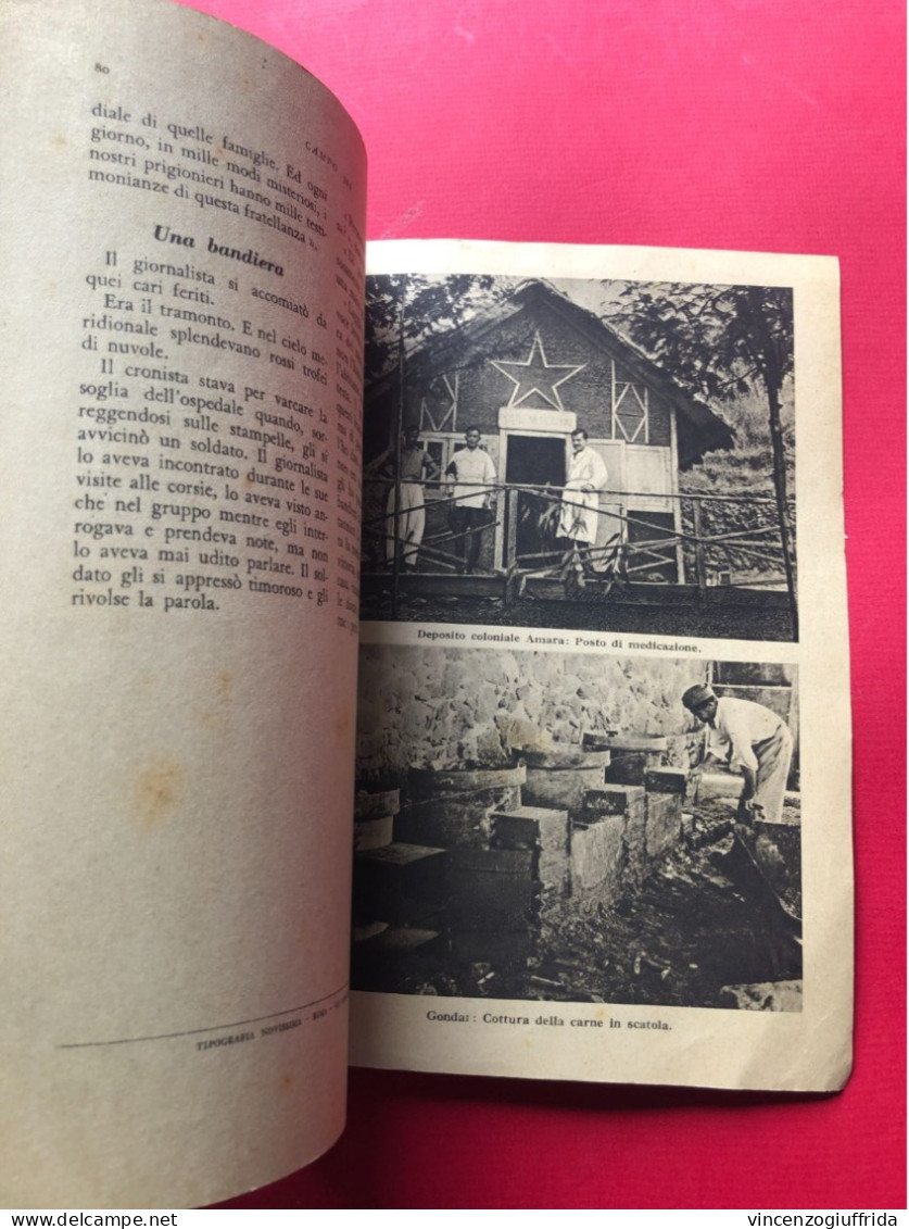 Fascismo Libro 1942 -Il cerchio di fuoco. Seguito da: Campo 306 brossura con copertina illustrata a colori (di Latini),
