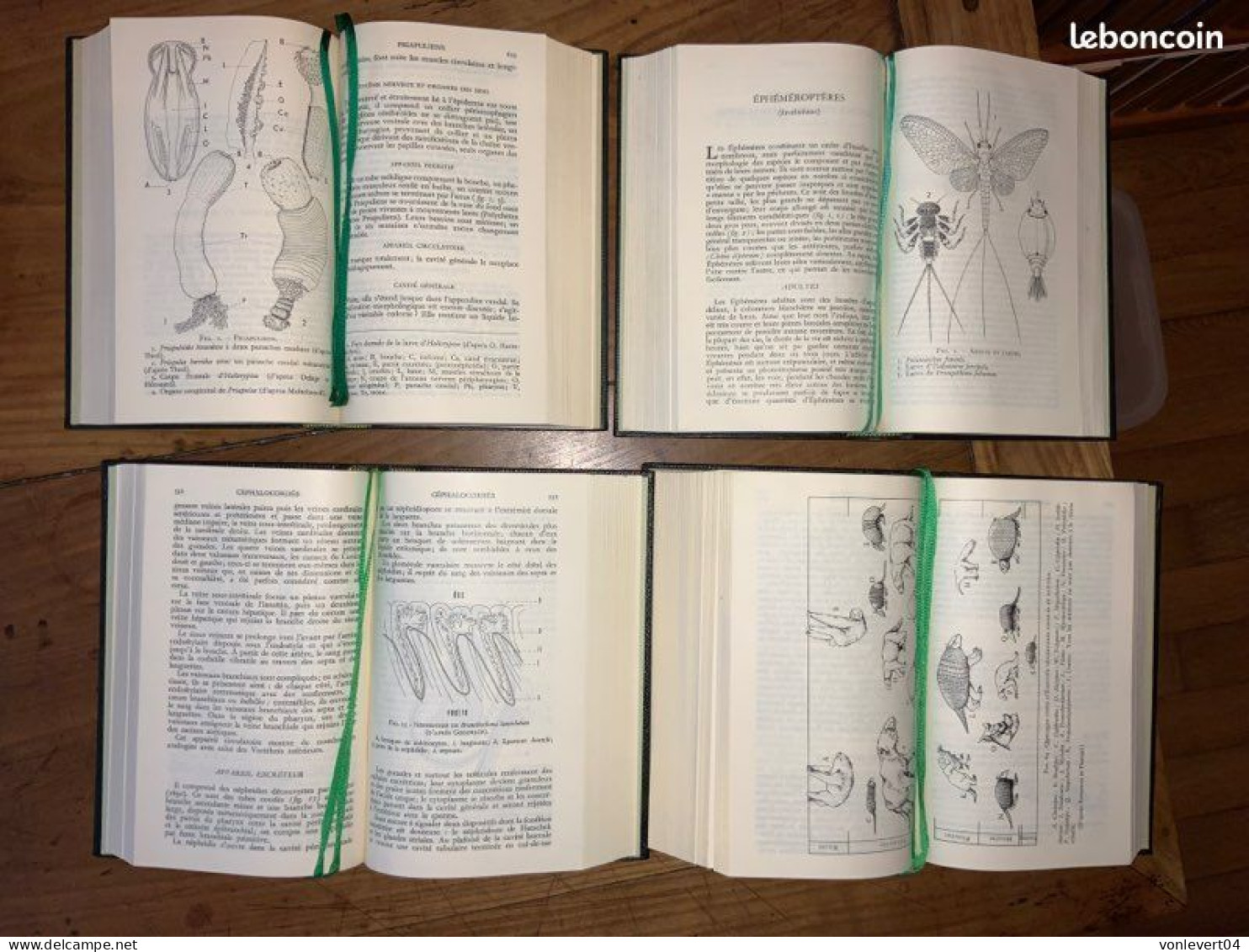 Livre Zoologie 2 - Encyclopédie De La Pléiade - En 1963, RARE - La Pléiade