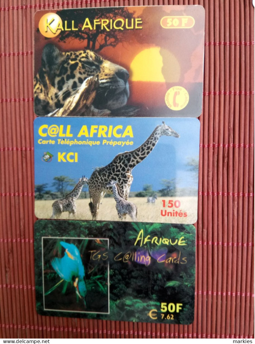 Animal  3 Nice Phonecards Used Rare - Jungle