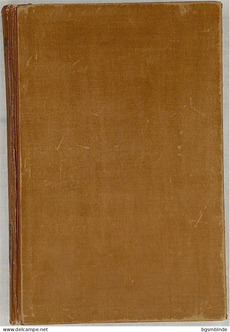 1918 - Sven Hedin - Bagdad Babylon Ninive / 410 S. - 16x23,5x2,4cm