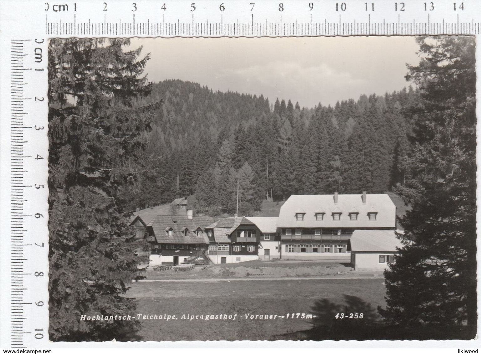 Hochlantsch Teichalpe Alpengasthof Vorauer - Vorau