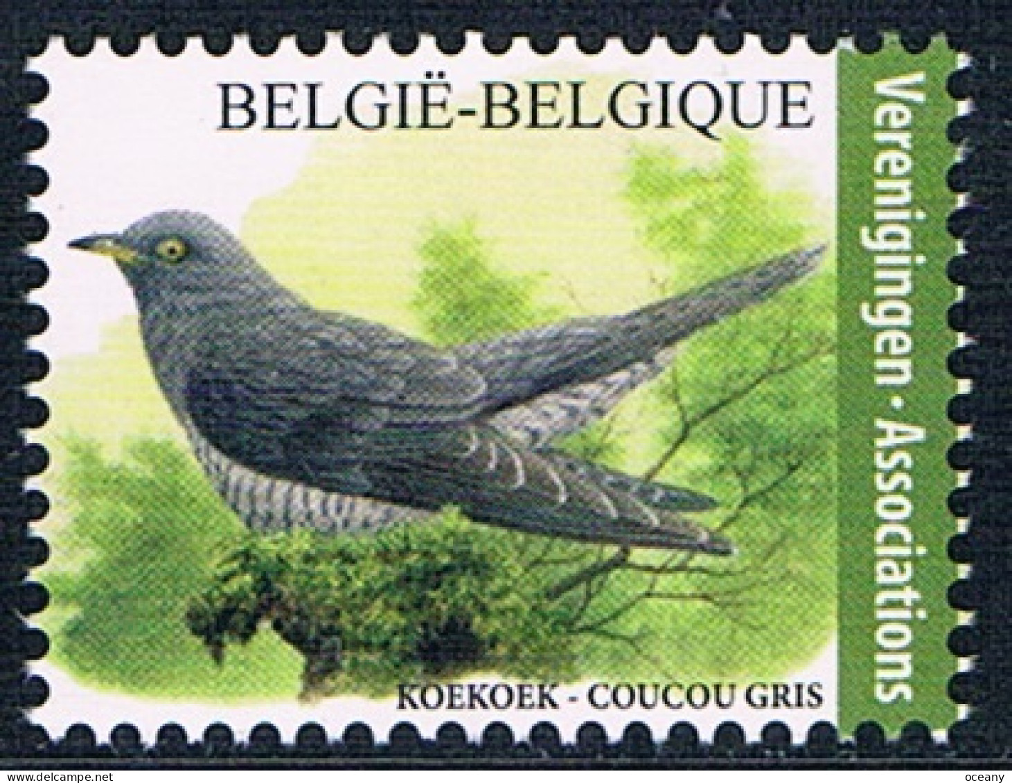 Belgique - Oiseaux : Coucou Gris 4991 (année 2021) ** - Cuckoos & Turacos