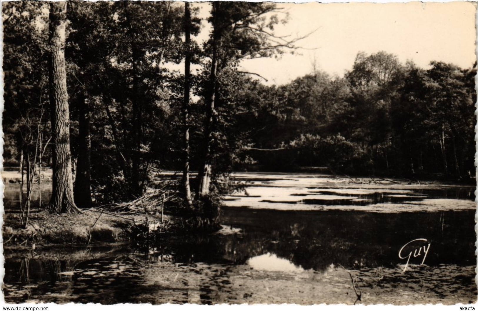 CPA Baillet En France L'Etang Du Chateau FRANCE (1332697) - Baillet-en-France