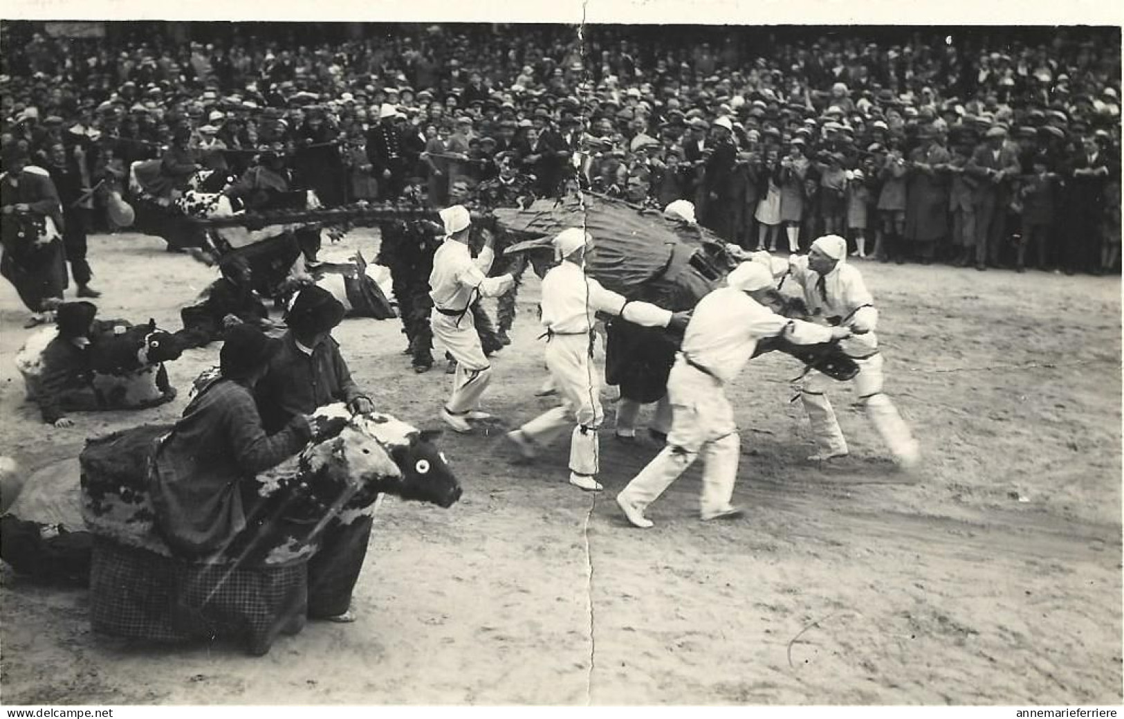 Mons  Combat Du Lumeçon  Carte Photo ( Plie ) - Mons