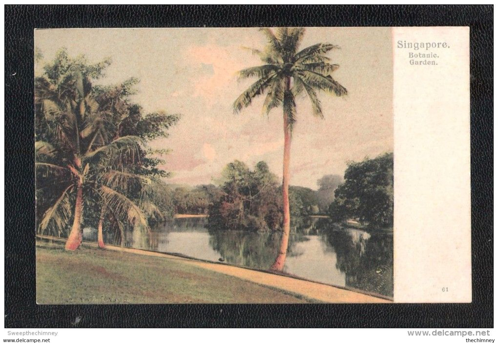 SINGAPORE SINGAPOUR  BOTANIC BOTANICAL GARDEN EARLY UNDIVIDED BACK UNUSED - Singapour