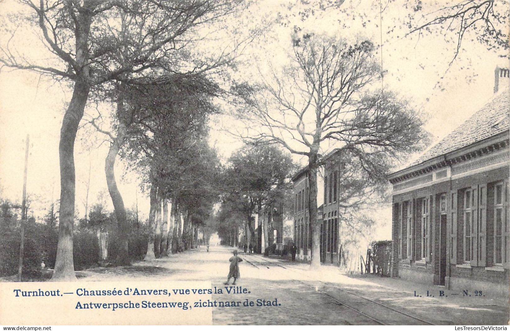 BELGIQUE - Turnhout - Chaussée D'Anvers, Vue Vers La Ville - Carte Postale Ancienne - Turnhout