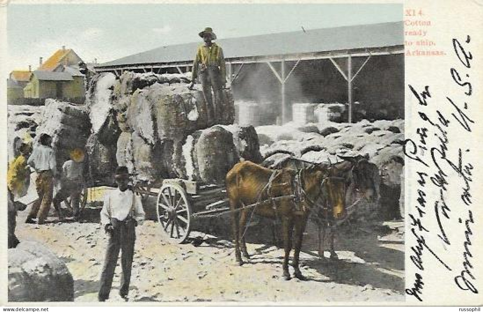 USA - BLACK AMERICANA - COTTON READY TO SHIP, ARKANSAS - 1906 - Black Americana