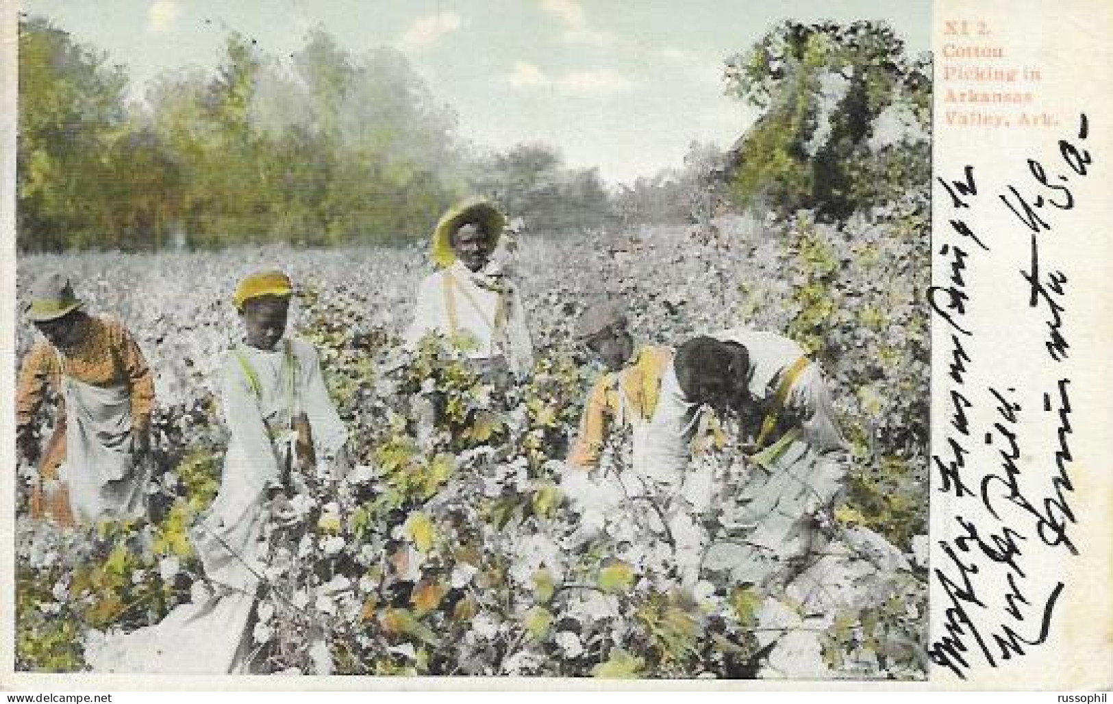 USA - BLACK AMERICANA - COTTON PICKING IN ARKANSAS VALLEY, ARK. - 1906 - Black Americana