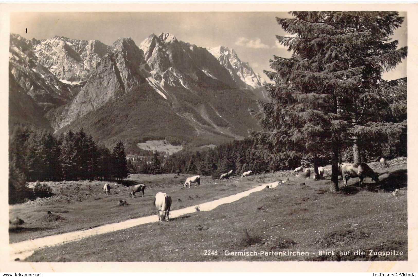 ALLEMAGNE - Garmisch-Partenkirchen - Blick Auf Die Zugspitze - Carte Postale Ancienne - Garmisch-Partenkirchen