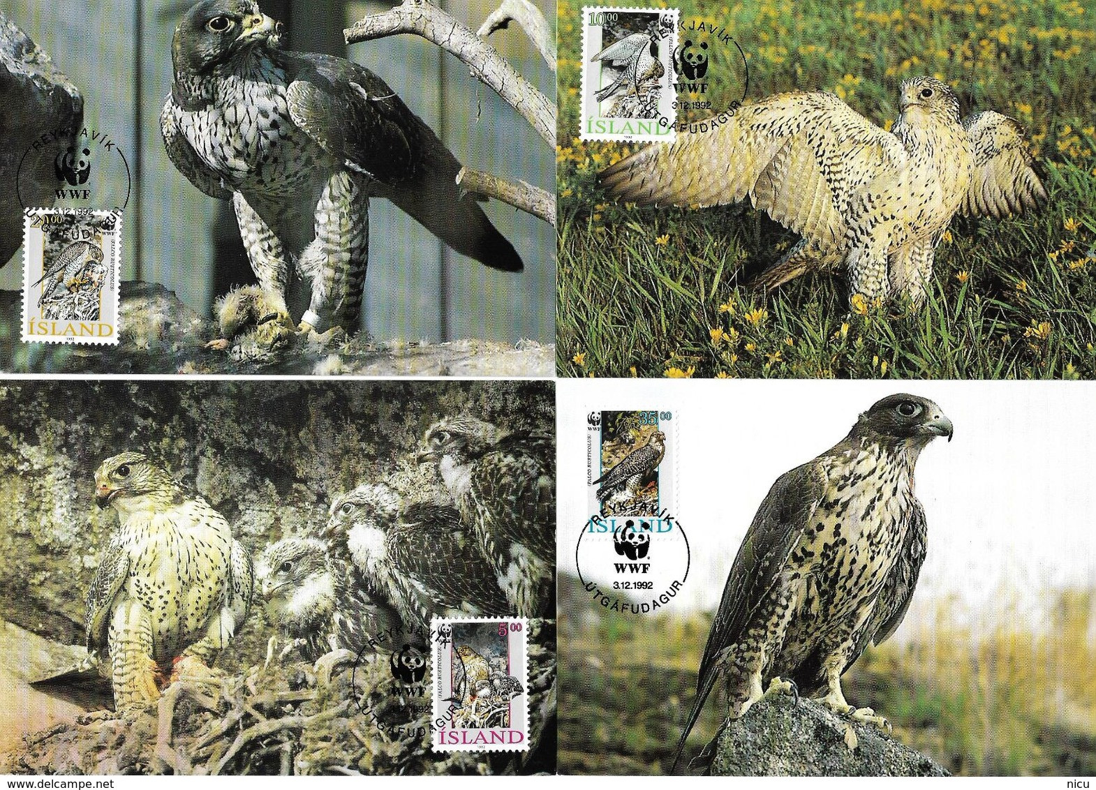 1990 - BIRDS OF PRAY - GYR FALCON (Falco Rusticolus) - Maximumkaarten