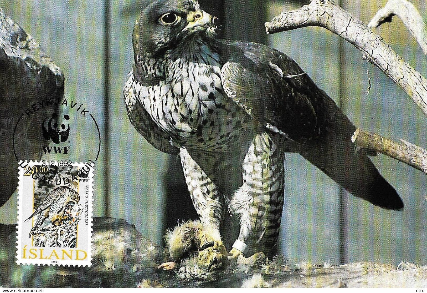 1990 - BIRDS OF PRAY - GYR FALCON (Falco Rusticolus) - Maximumkaarten