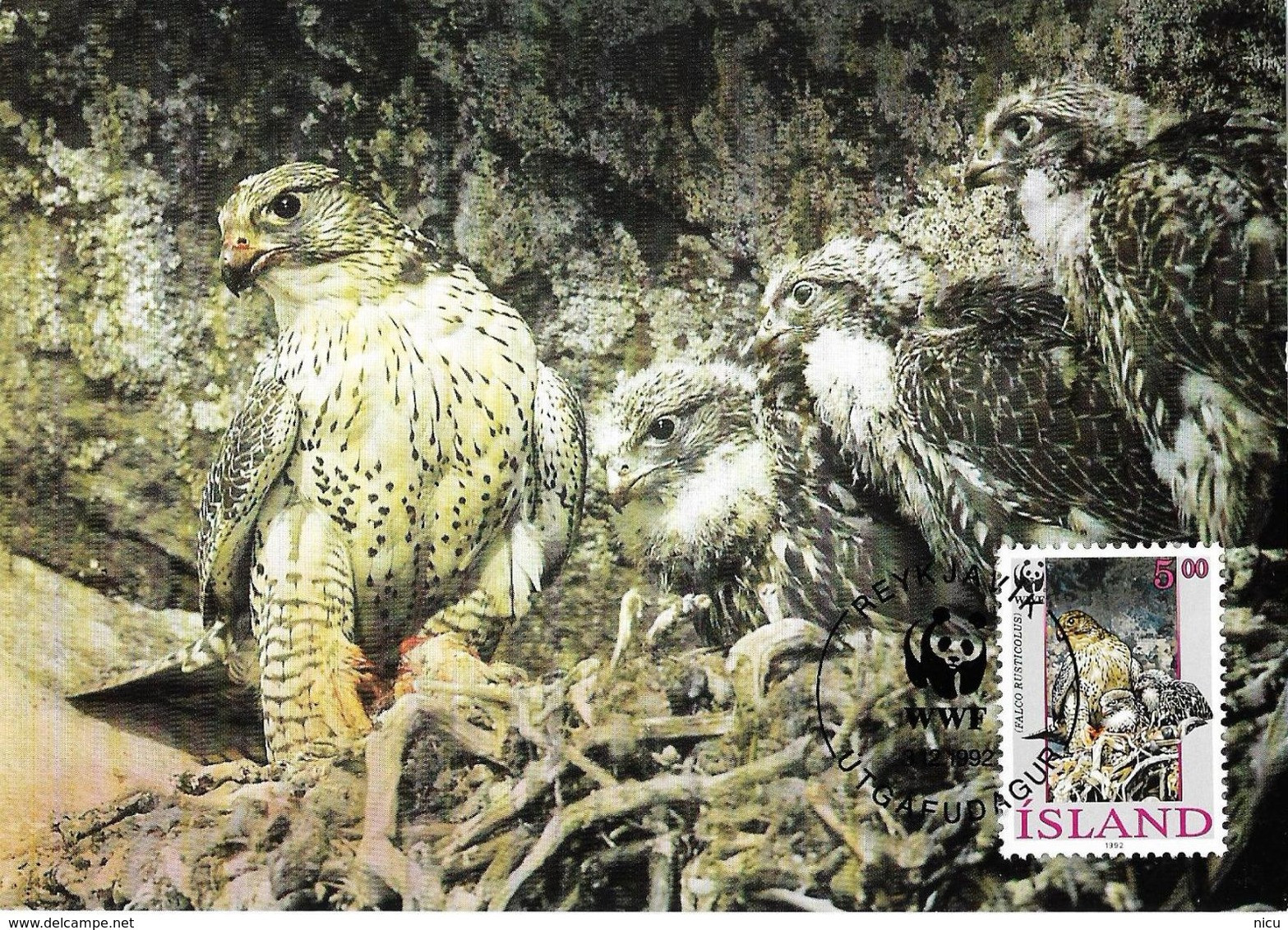 1990 - BIRDS OF PRAY - GYR FALCON (Falco Rusticolus) - Maximum Cards