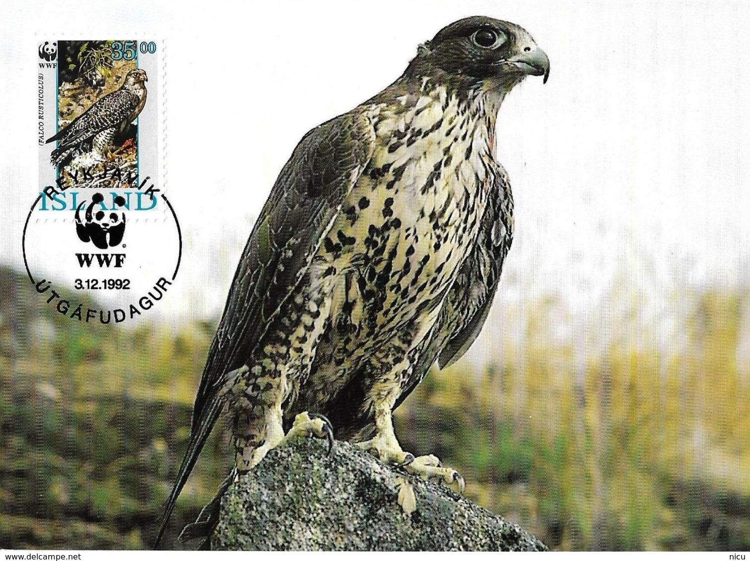 1990 - BIRDS OF PRAY - GYR FALCON (Falco Rusticolus) - Tarjetas – Máxima