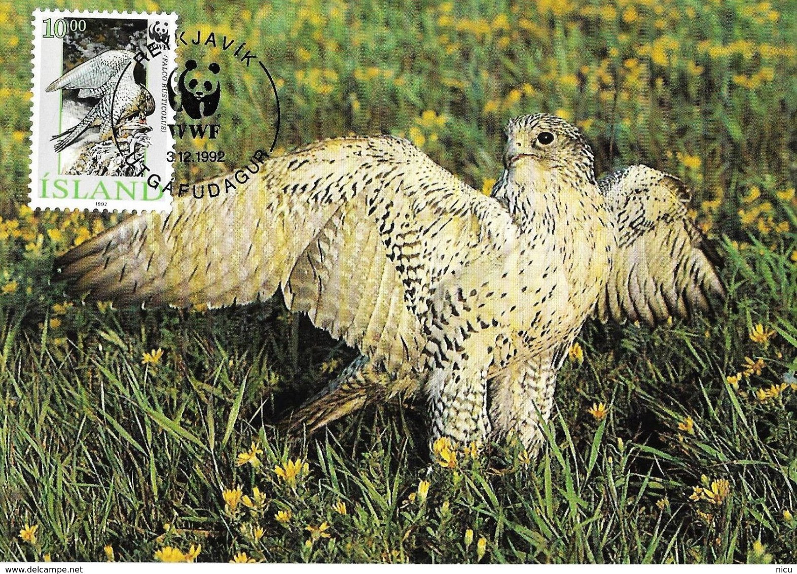 1990 - BIRDS OF PRAY - GYR FALCON (Falco Rusticolus) - Maximumkarten