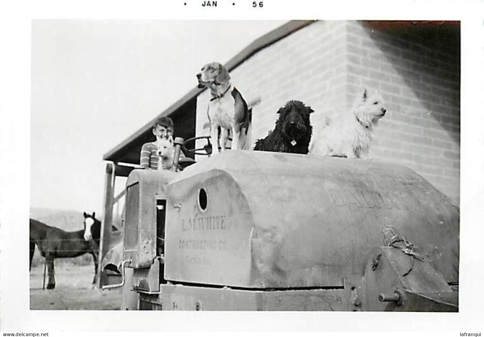 Theme Div-ref TT604- Photo 12,5cms X 9cms -arizona -etats Unis -agriculture-1956 -tracteurs - Tracteur -tractor Galion - - Tractors