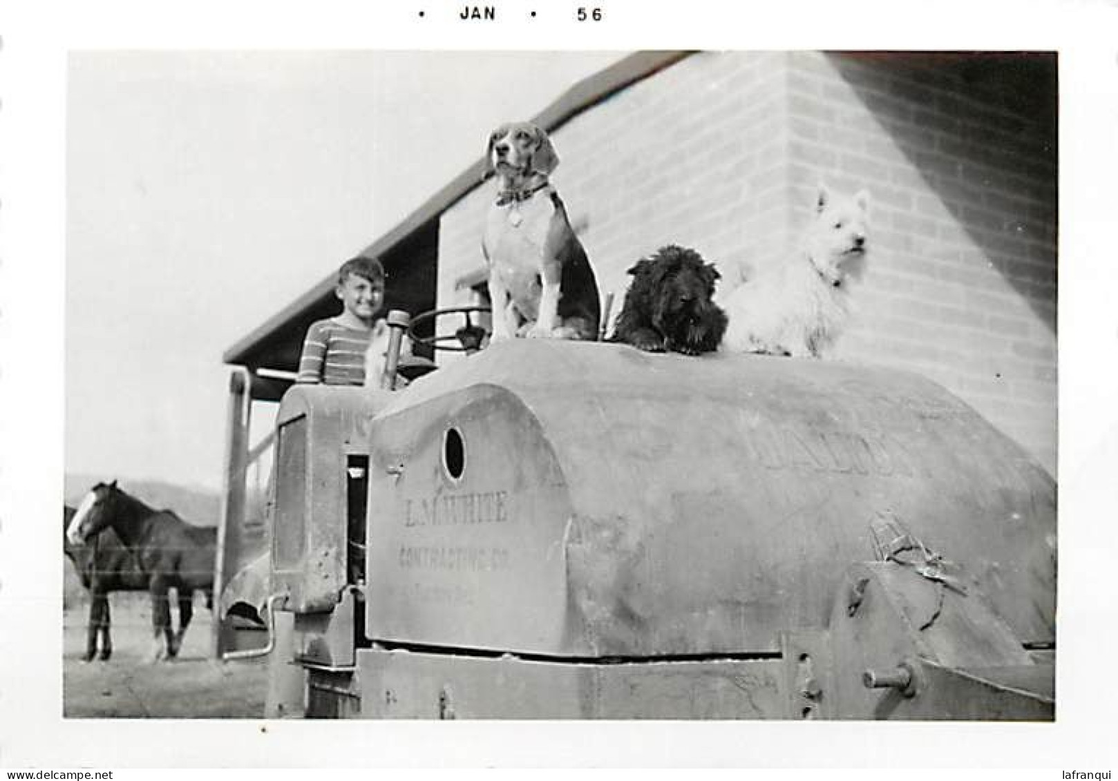 Theme Div-ref TT603- Photo 12,5cms X 9cms -arizona -etats Unis -agriculture-1956 -tracteurs - Tracteur -tractor Galion - - Tracteurs