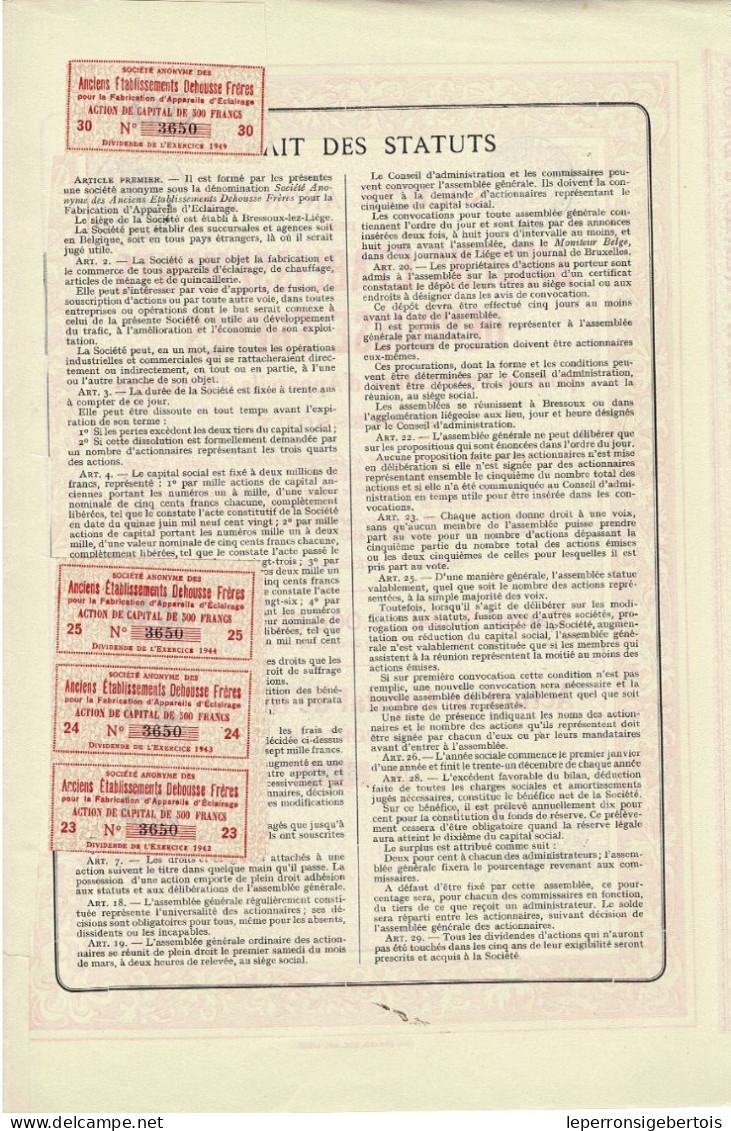 - Titre De 1928 - Sté Anonyme Des Anciens Etablissements Dehousse Frères Pour La Frabrication D'appareils D'Eclairage - - Industrie