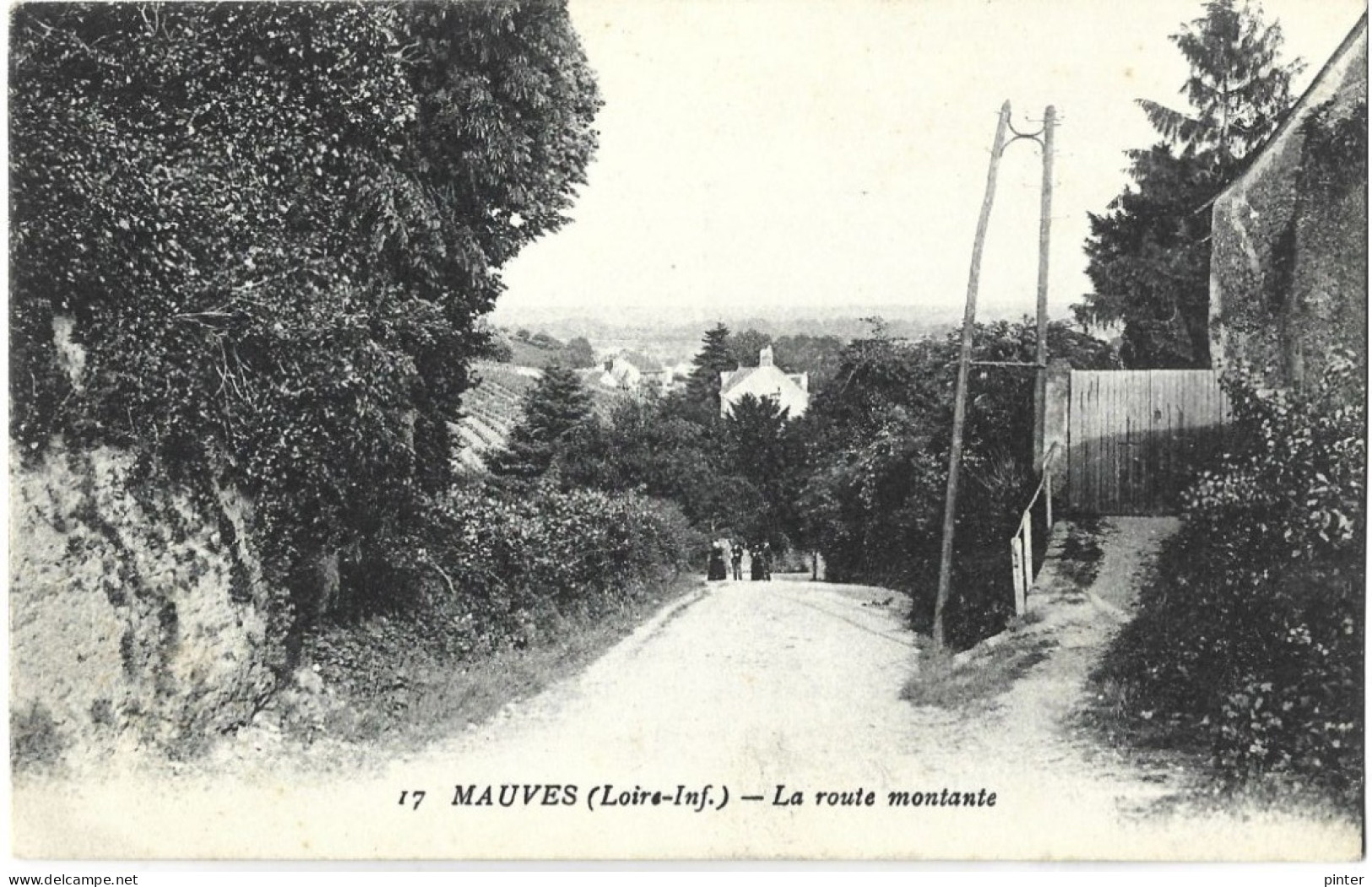 MAUVES - La Route Montante - Mauves-sur-Loire