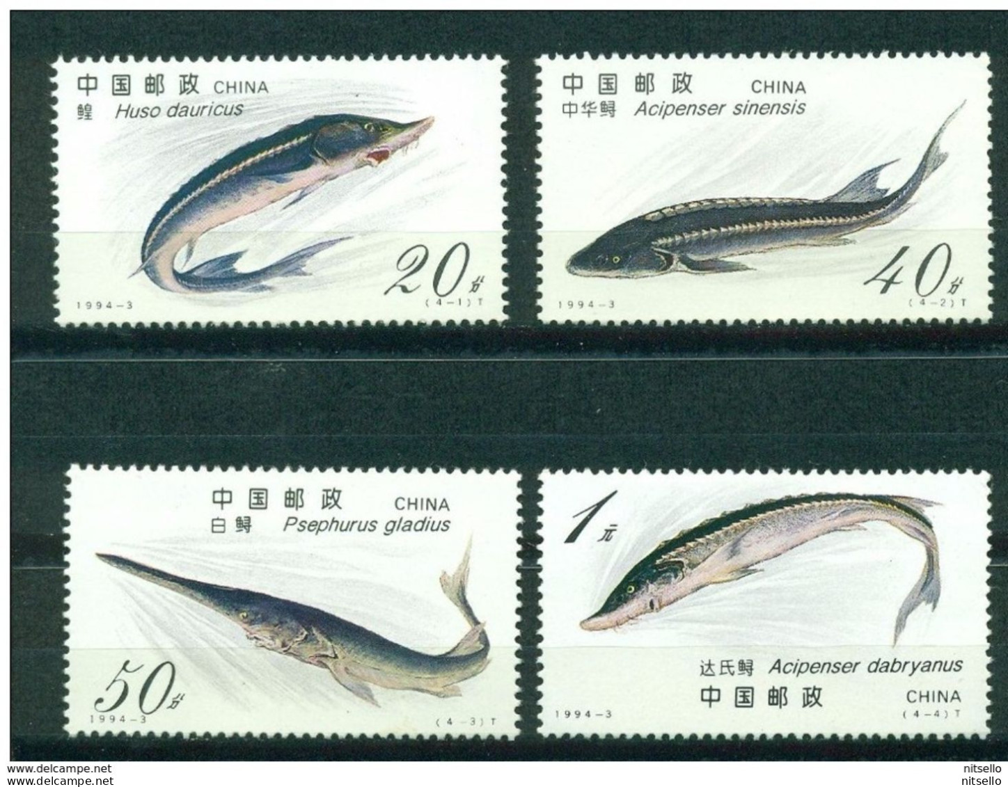 LOTE 1798    ///  (C080)   CHINA 1994-Cranes **MNH     ¡¡¡ OFERTA !!!! - Gebraucht