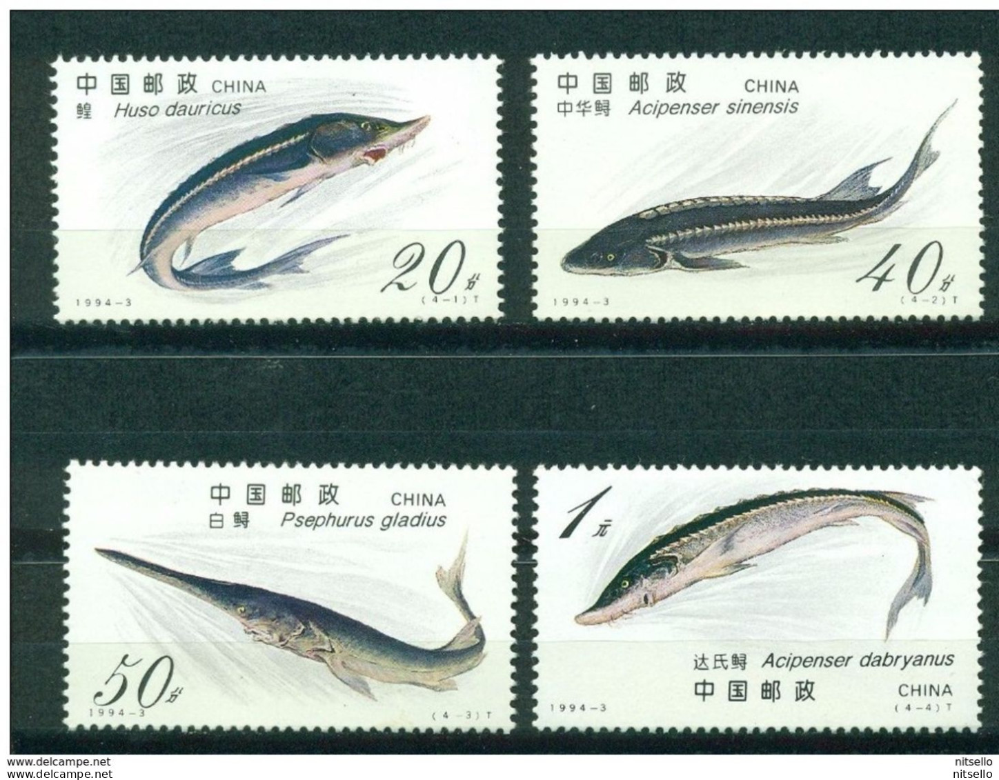 LOTE 1798    ///  (C080)   CHINA 1994-Cranes **MNH     ¡¡¡ OFERTA !!!! - Gebruikt