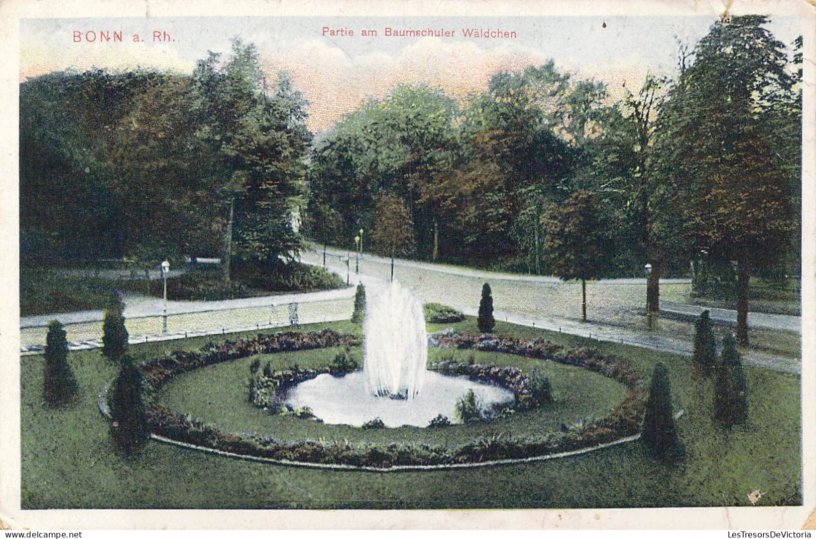 ALLEMAGNE - Bonn A. Rh. - Partie Am Baumschuler Waldchen - Carte Postale Ancienne - Bonn