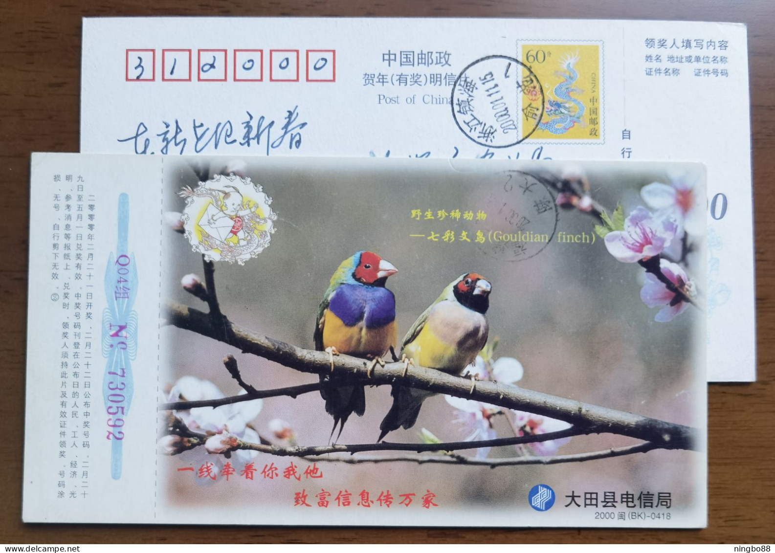 Gouldian Finch,Bird,China 2000 Rare And Exiguity Wildlife Series Advertising Pre-stamped Card - Mussen