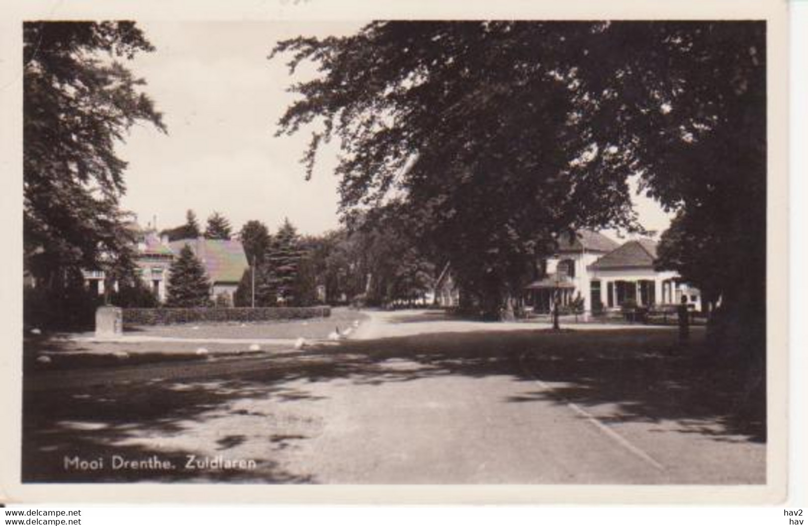 Zuidlaren Dorpsgezicht 1956 RY13936 - Zuidlaren