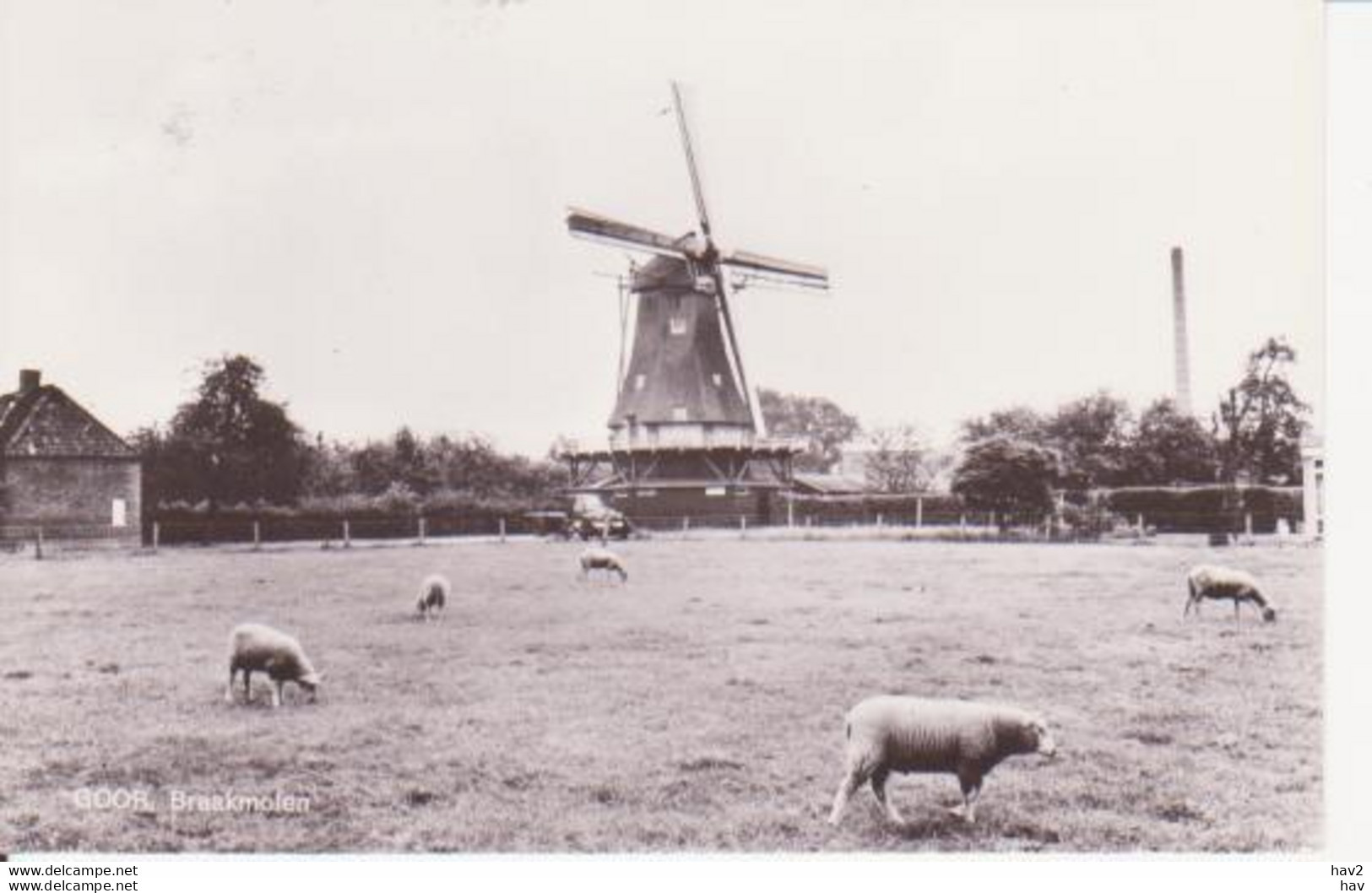 Goor Braak  Molen RY13807 - Goor