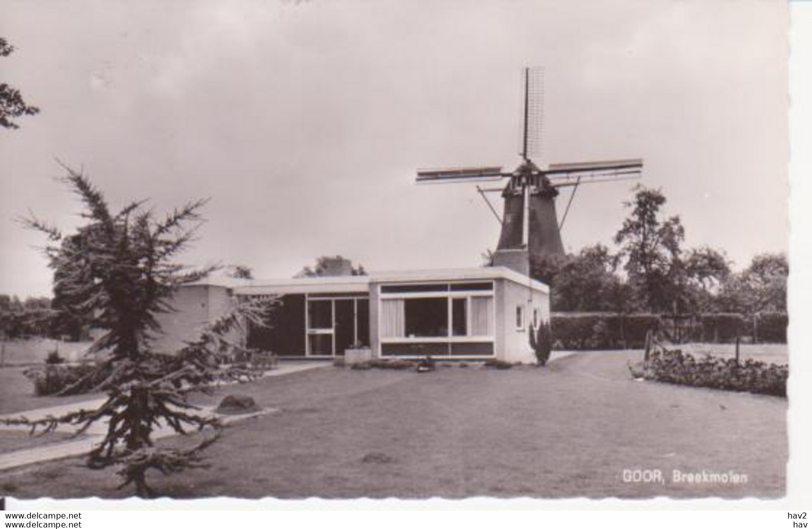 Goor Braak Molen RY13796 - Goor