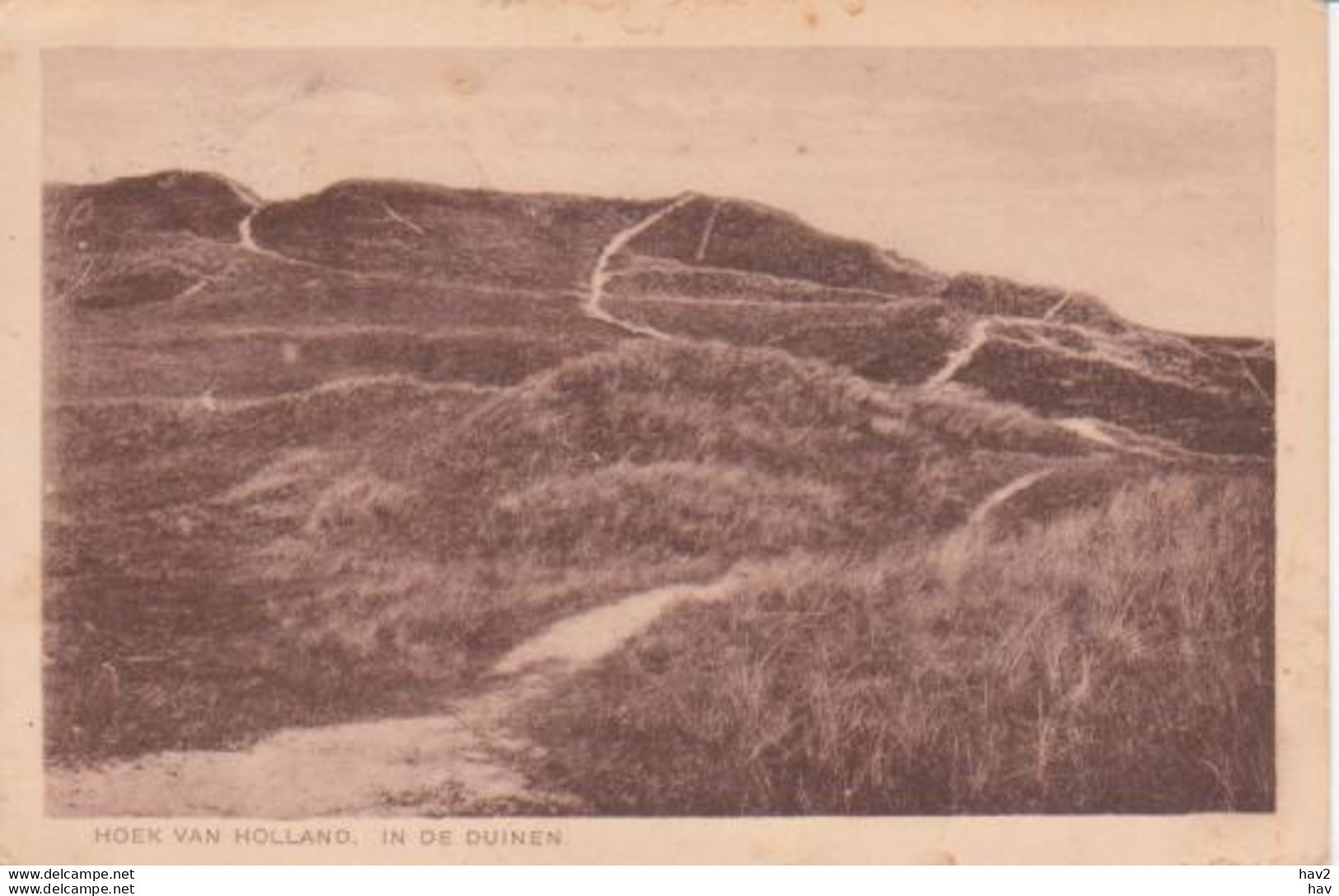 Hoek Van Holland Duinen 1929 RY15088 - Hoek Van Holland