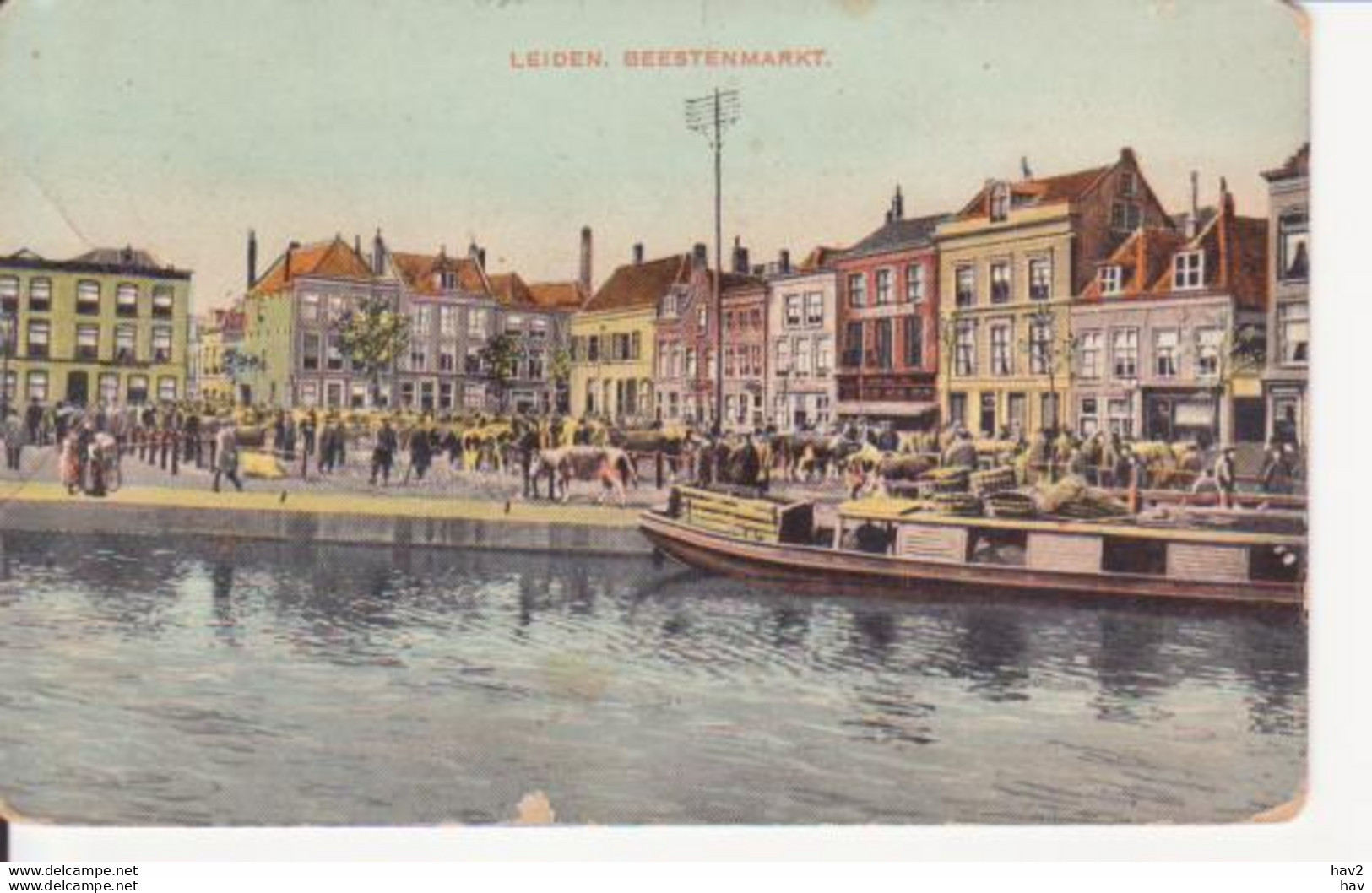 Leiden Beesten Markt 1911 RY14280 - Leiden