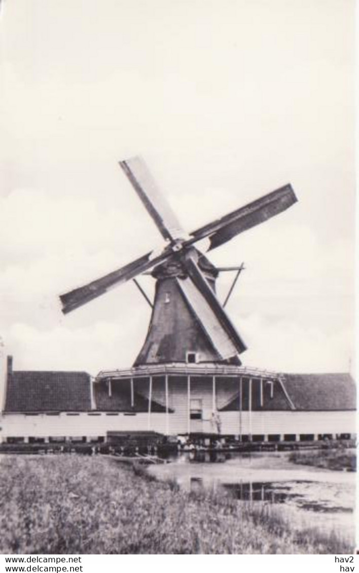 Koog A/d Zaan Molen De Elzenboom RY15883 - Zaanstreek