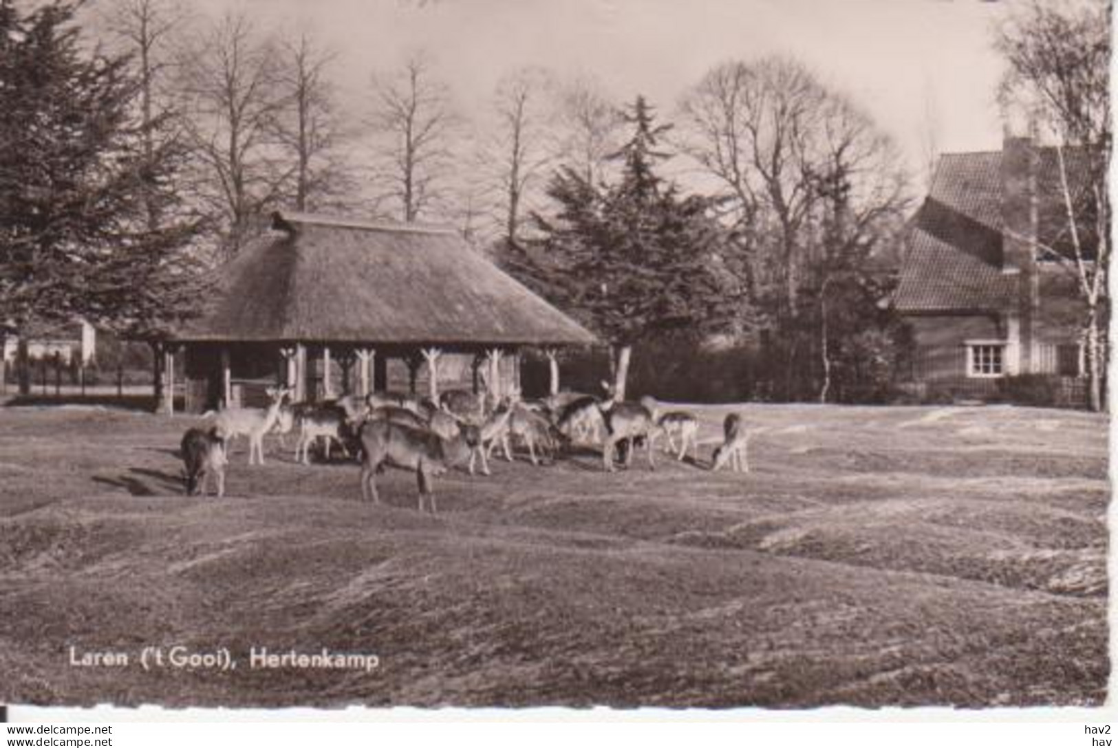 Laren (NH) Hertenkamp 1958 RY15230 - Laren (NH)