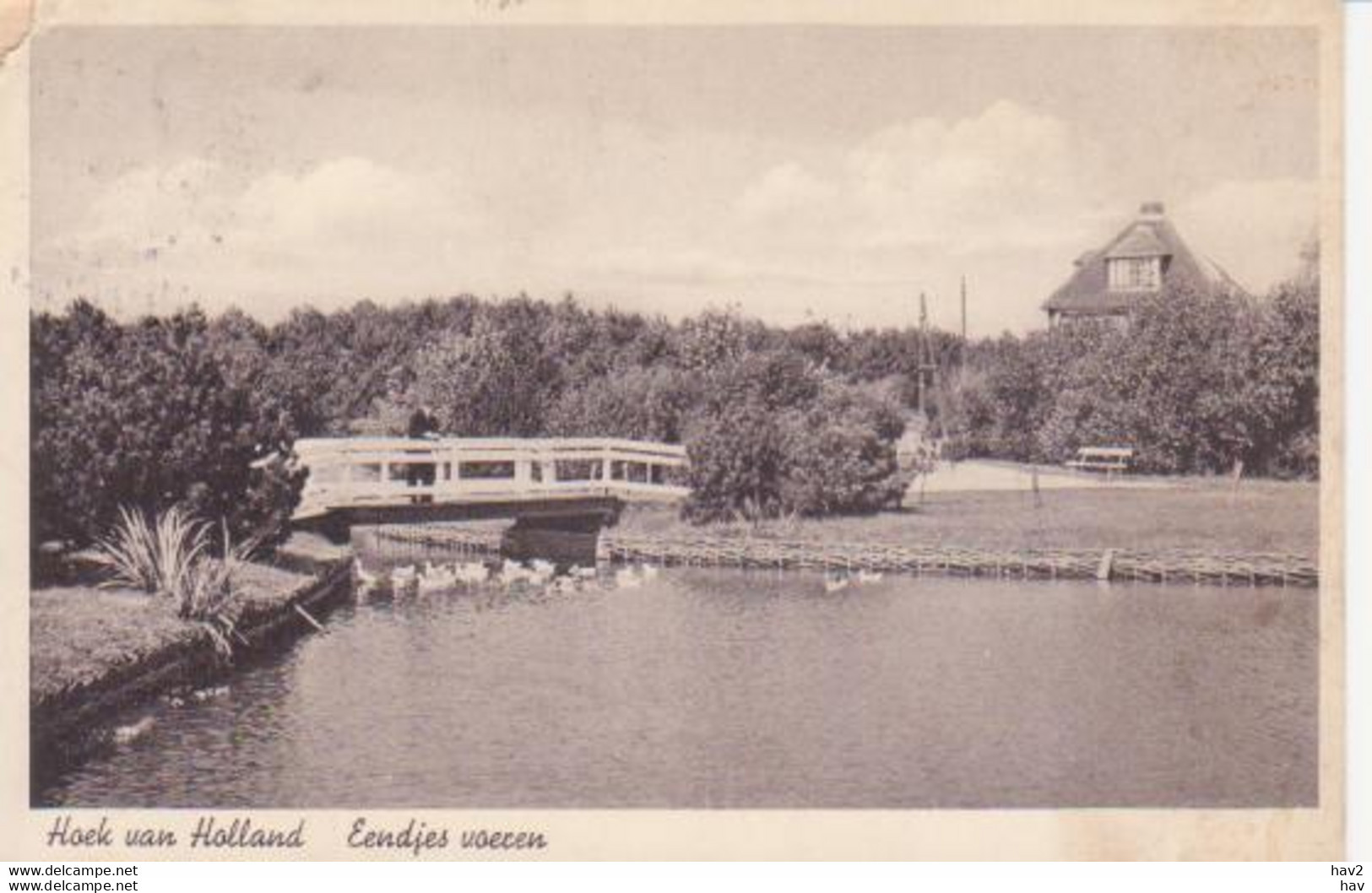 Hoek Van Holland Eendjes Voeren 1947 RY15174 - Hoek Van Holland