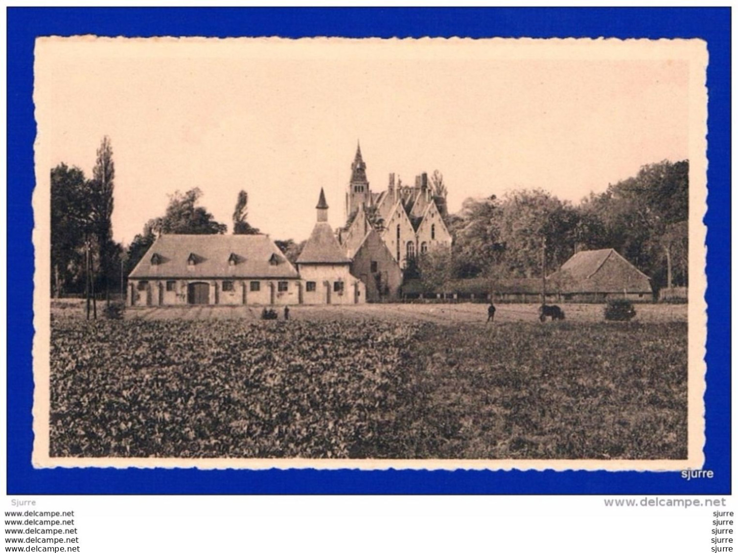 LOPPEM / Zedelgem - Kasteel Westkant - Château Vue Du Côté Est - Zedelgem