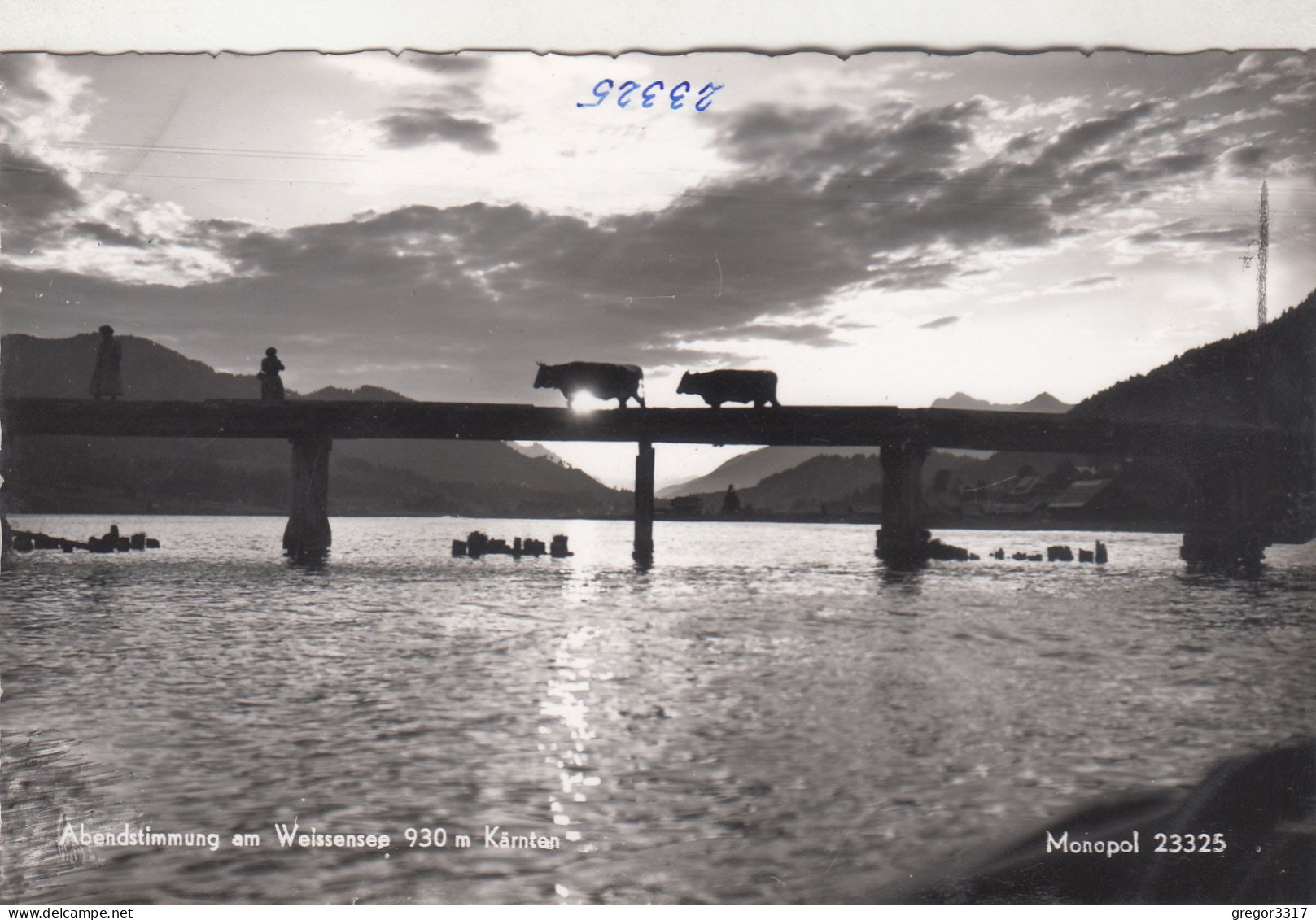 D2990) Abendstimmung Am WEISSENSEE - Kärnten - FOTO AK Mit 2 KÜHEN - Auf Brücke - MONOPOL 23325 - Weissensee