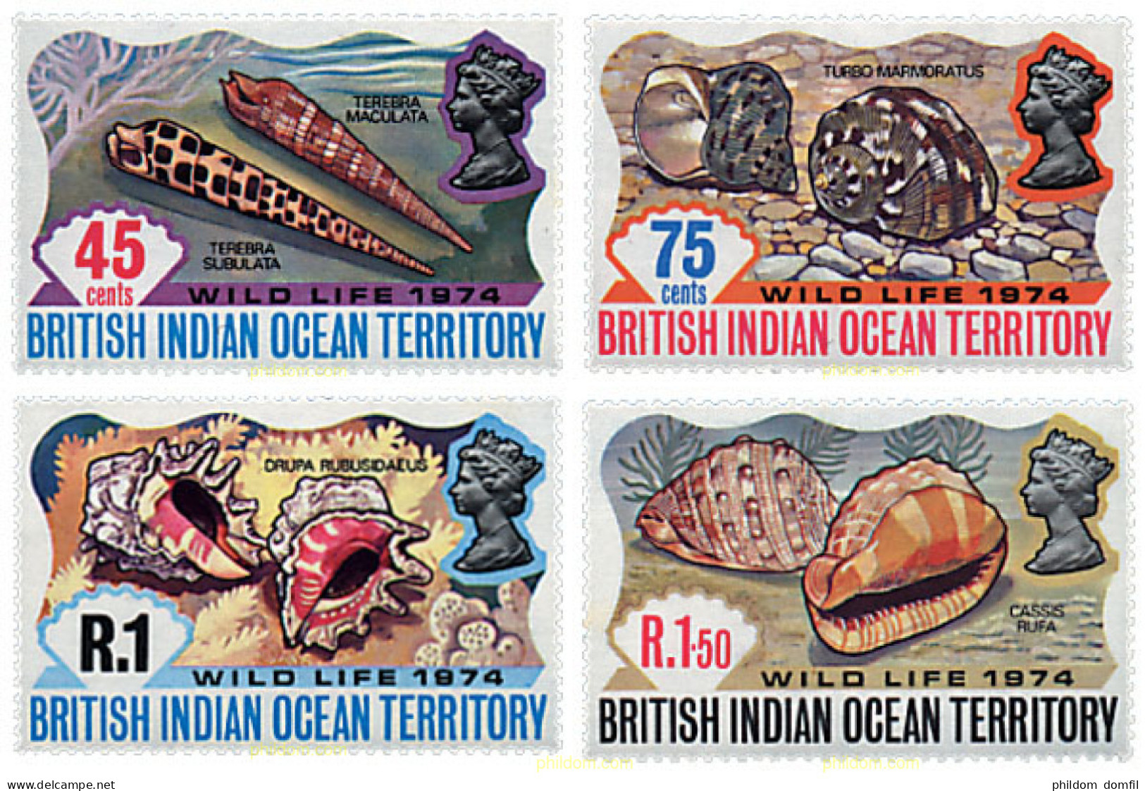 72854 MNH OCEANO INDICO BRITANICO 1974 CONCHAS - Territoire Britannique De L'Océan Indien