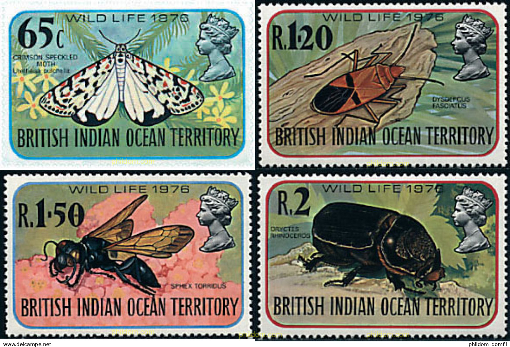 76726 MNH OCEANO INDICO BRITANICO 1976 INSECTOS - Territoire Britannique De L'Océan Indien