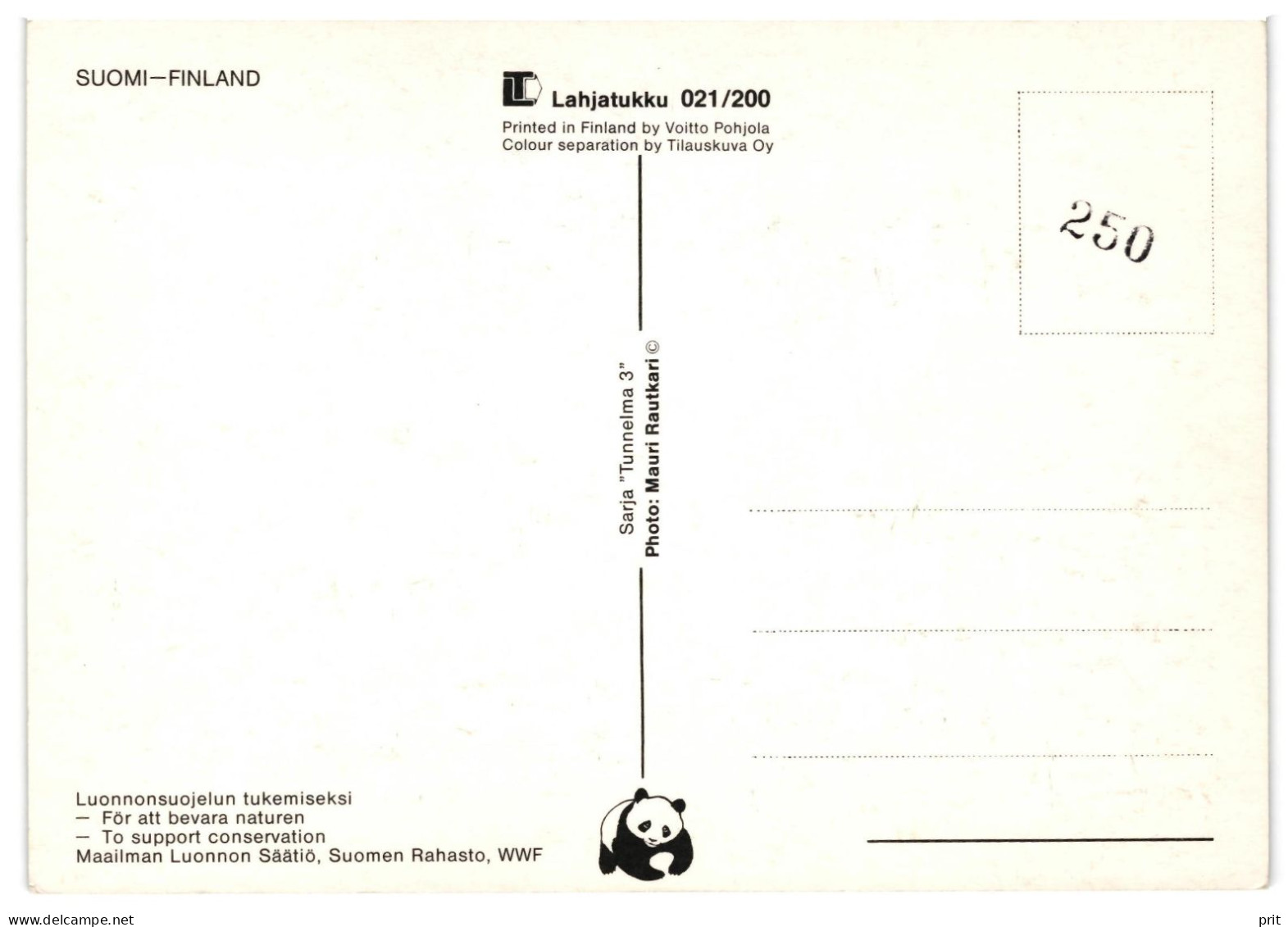 Pine Tree, Finland Finnish WWF Unused Postcard 1980s Publisher World Wide Fund For Nature, Serie Tunnelma 3, M.Rautkari - Rhinoceros