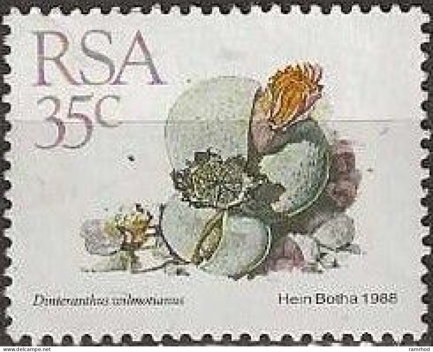 SOUTH AFRICA 1988 Succulents - 35c. - "Dinteranthus Wilmotianus" MNG - Unused Stamps