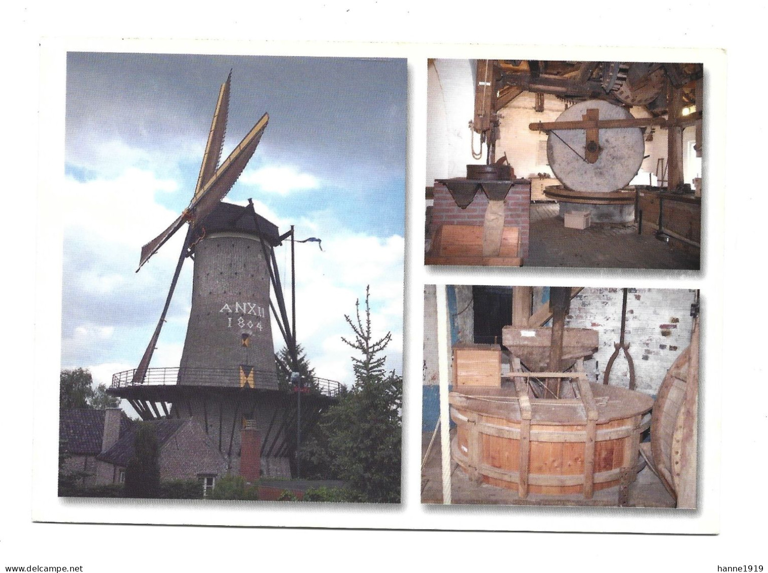 Hamont Achel Windmolen Moulin Mill Napoleonsmolen Olieslagwerk & De Maalstoel Photo Carte Htje - Hamont-Achel